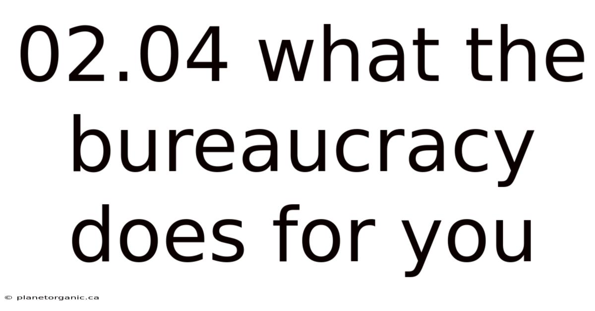 02.04 What The Bureaucracy Does For You