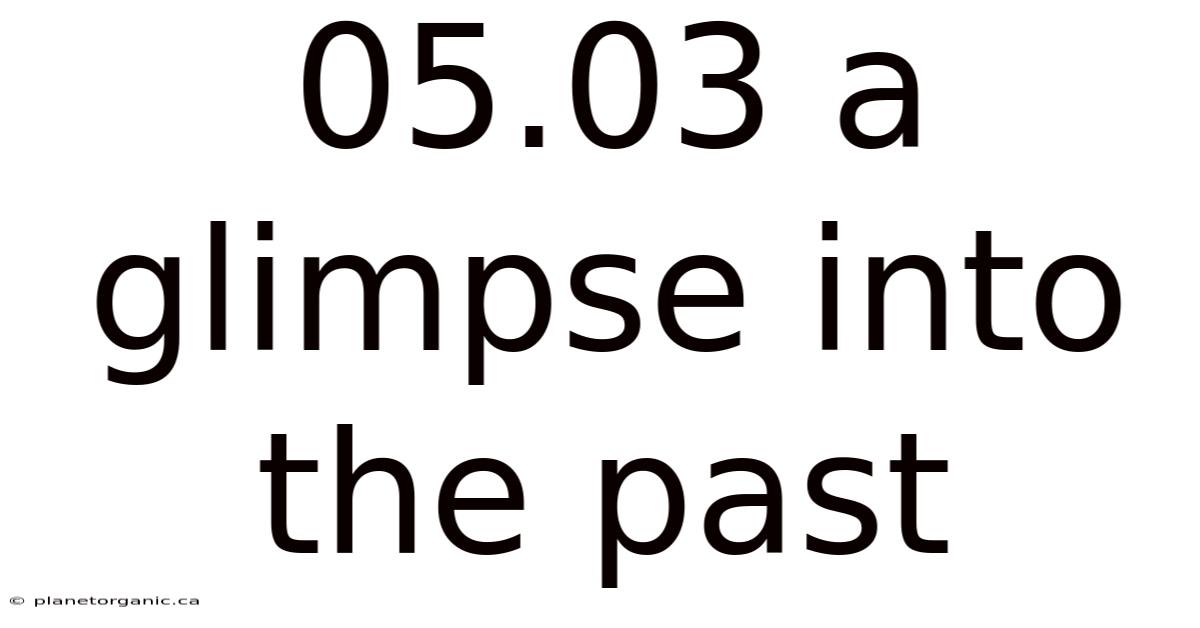 05.03 A Glimpse Into The Past