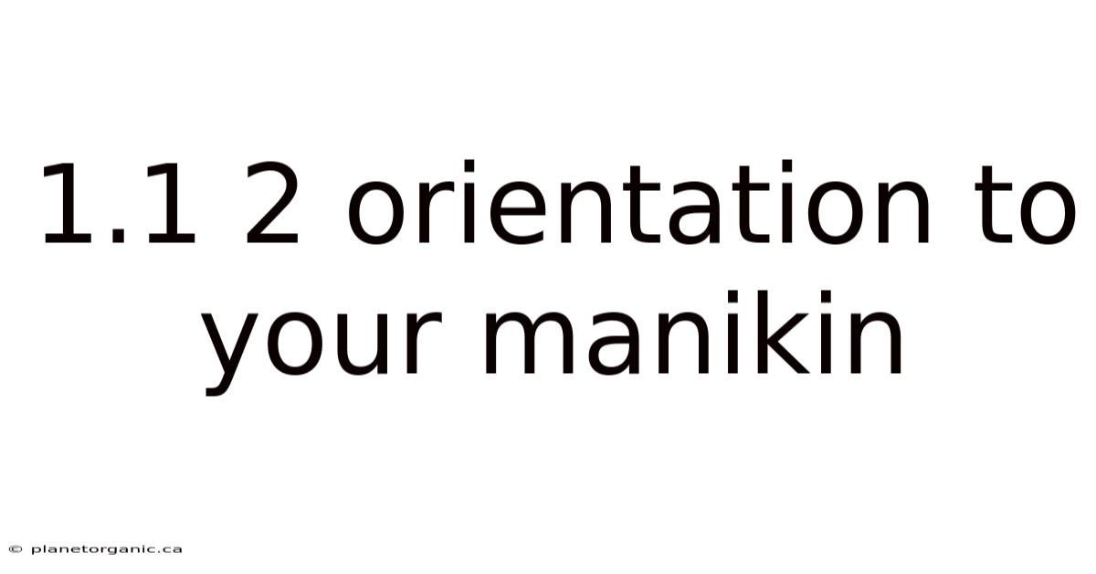 1.1 2 Orientation To Your Manikin