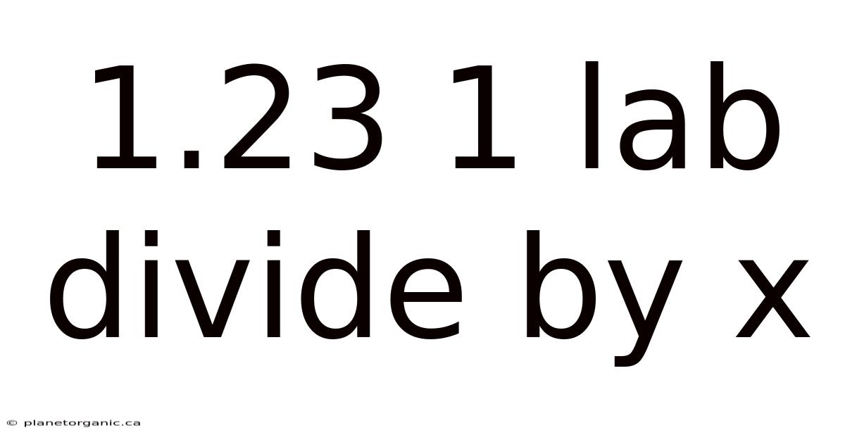 1.23 1 Lab Divide By X