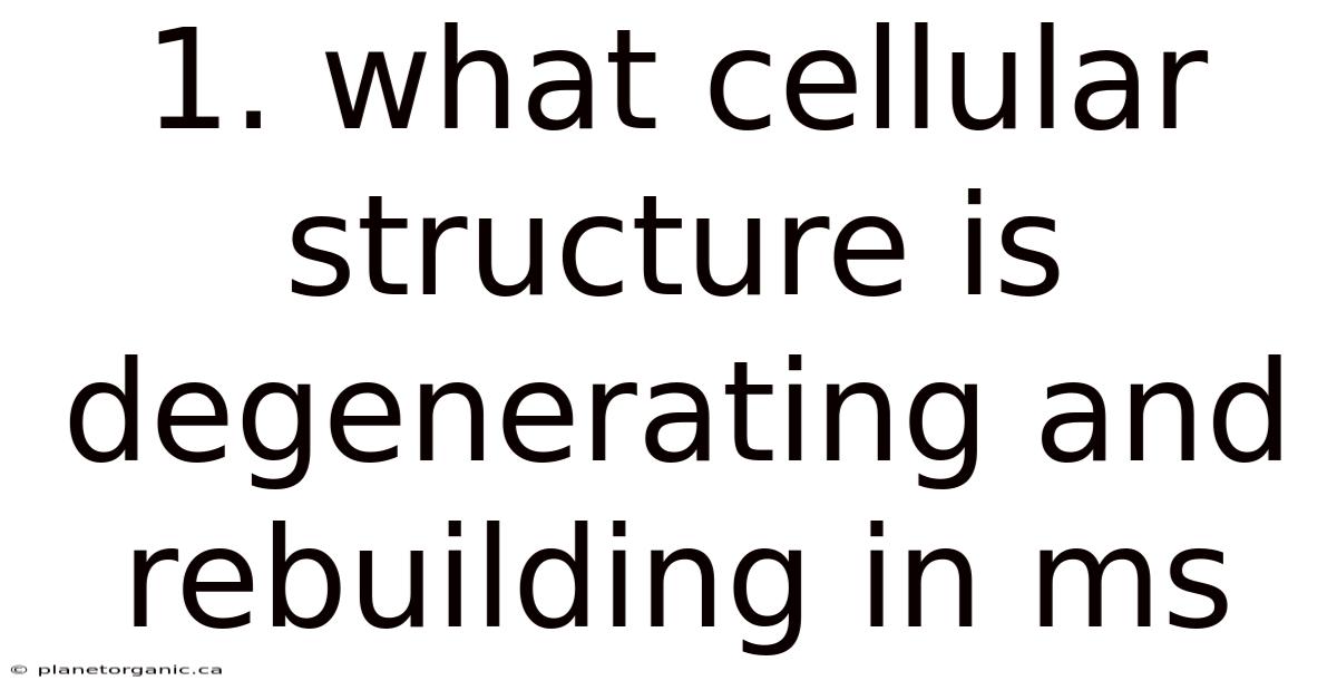 1. What Cellular Structure Is Degenerating And Rebuilding In Ms