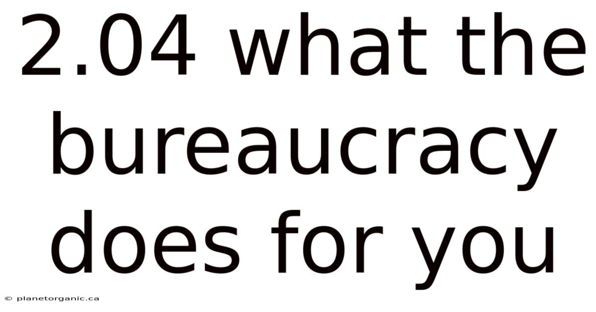 2.04 What The Bureaucracy Does For You