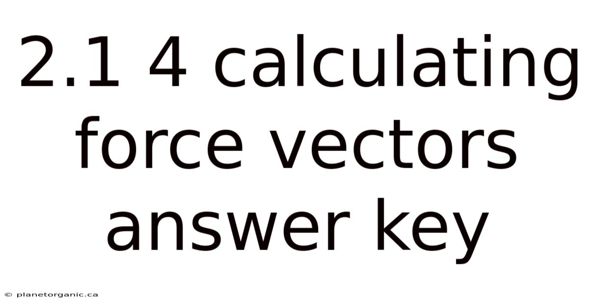 2.1 4 Calculating Force Vectors Answer Key