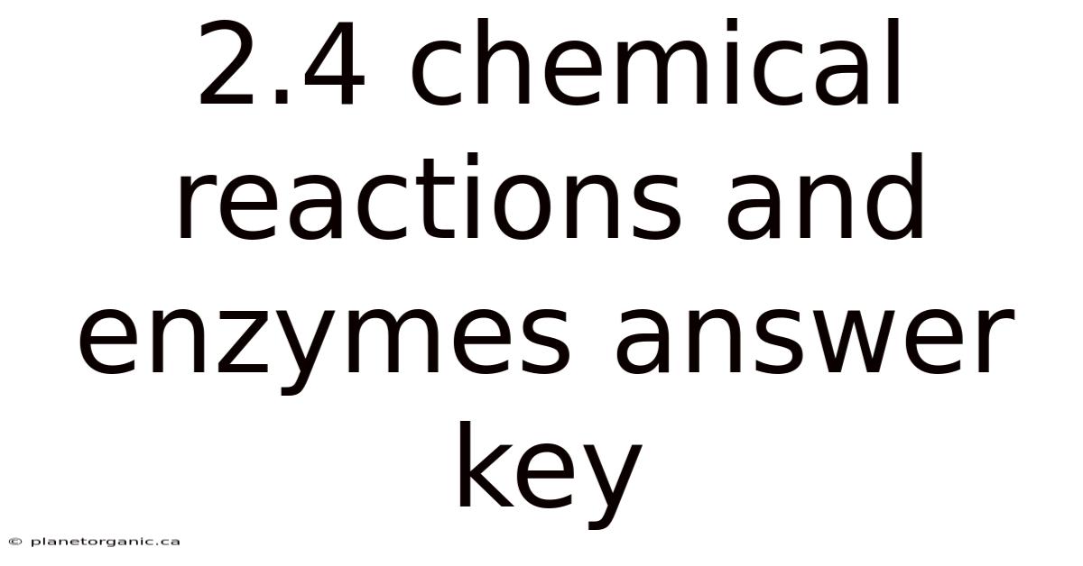 2.4 Chemical Reactions And Enzymes Answer Key