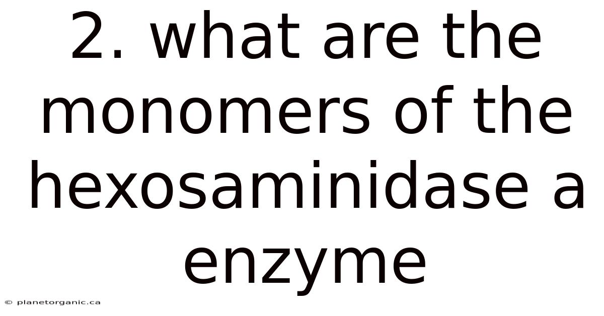 2. What Are The Monomers Of The Hexosaminidase A Enzyme