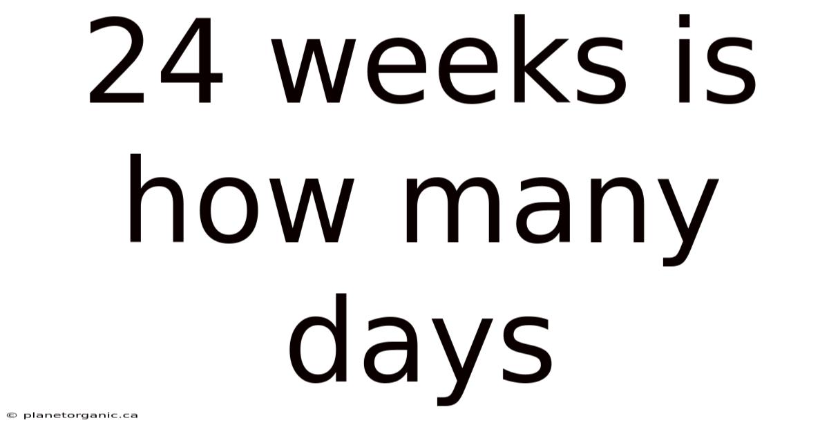 24 Weeks Is How Many Days