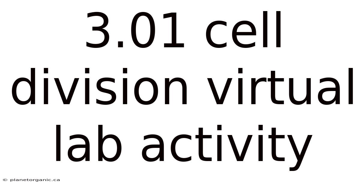 3.01 Cell Division Virtual Lab Activity