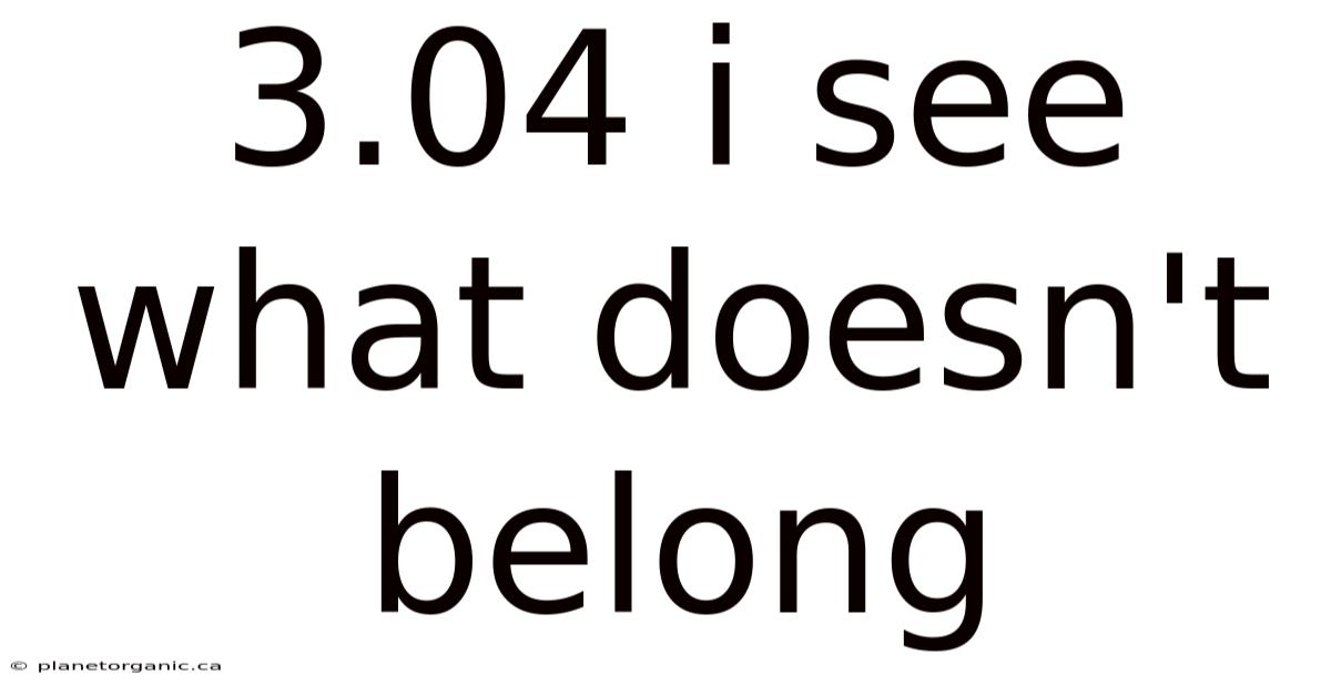3.04 I See What Doesn't Belong