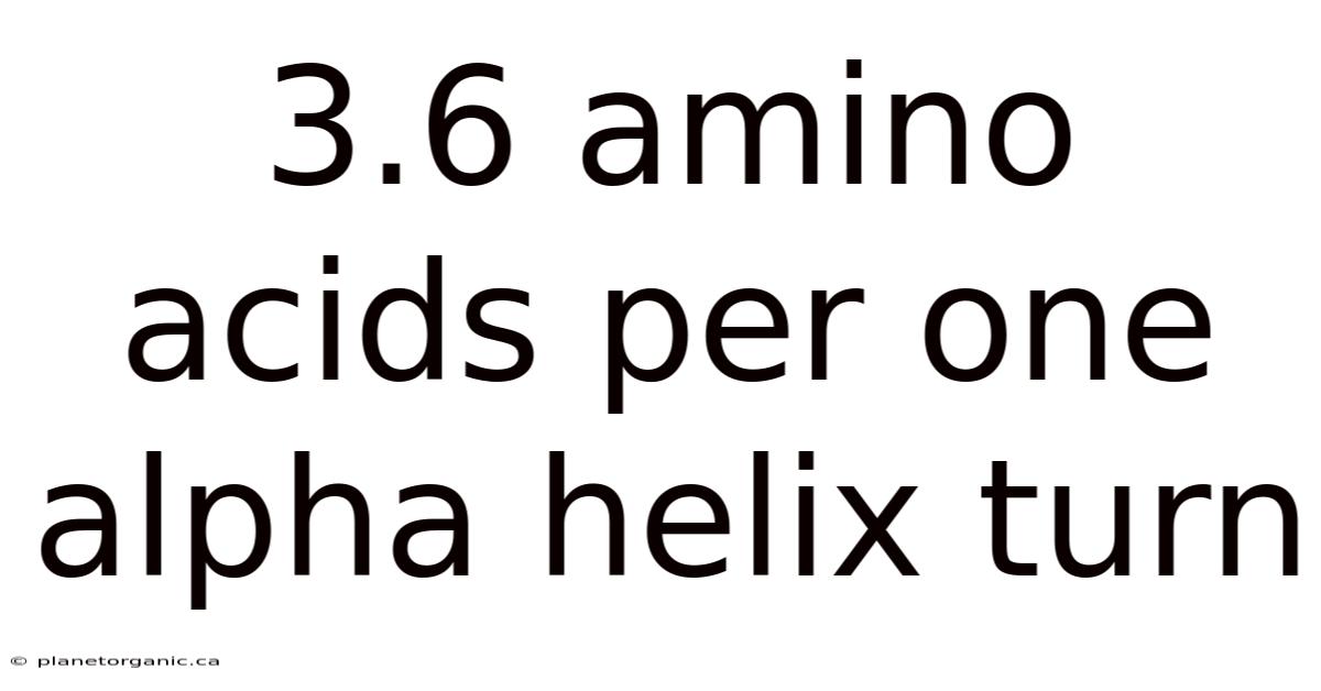 3.6 Amino Acids Per One Alpha Helix Turn