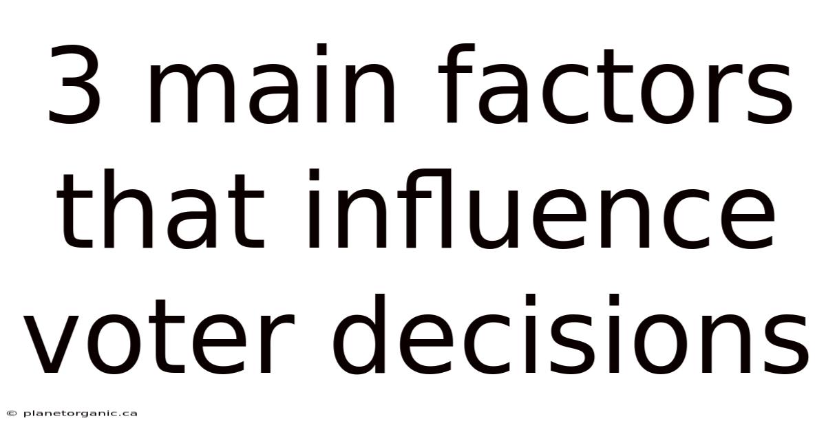 3 Main Factors That Influence Voter Decisions