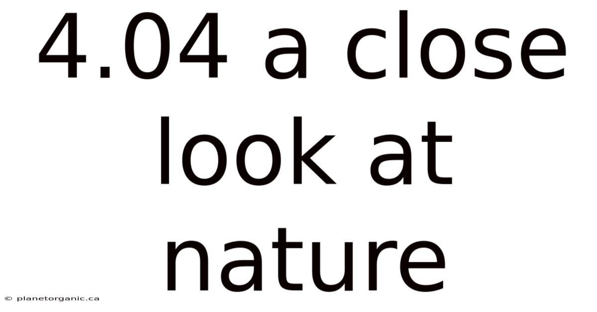4.04 A Close Look At Nature