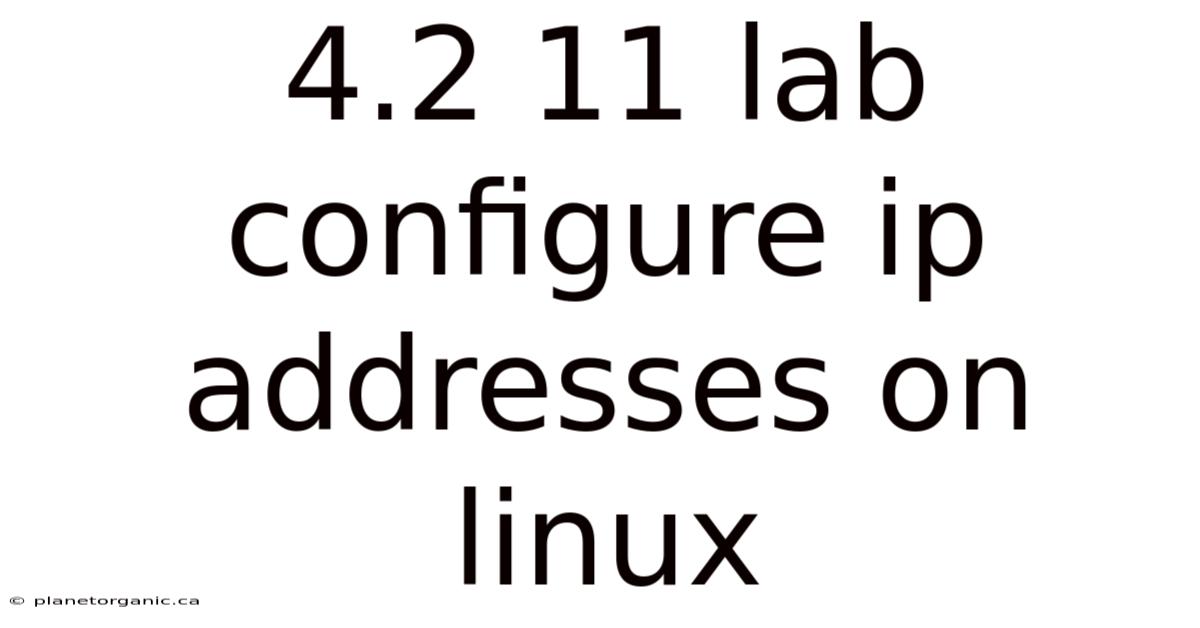 4.2 11 Lab Configure Ip Addresses On Linux