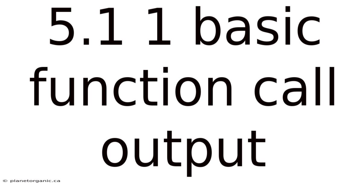 5.1 1 Basic Function Call Output