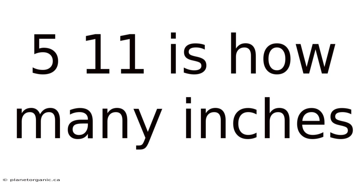 5 11 Is How Many Inches