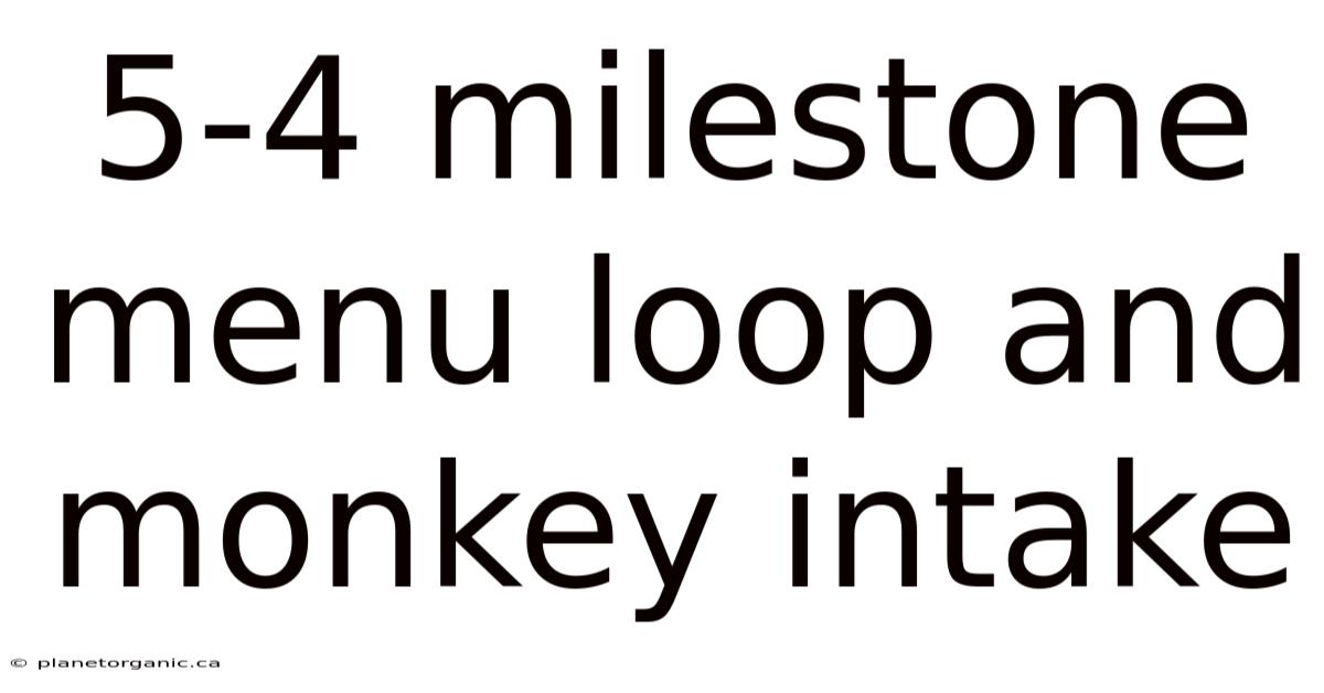 5-4 Milestone Menu Loop And Monkey Intake