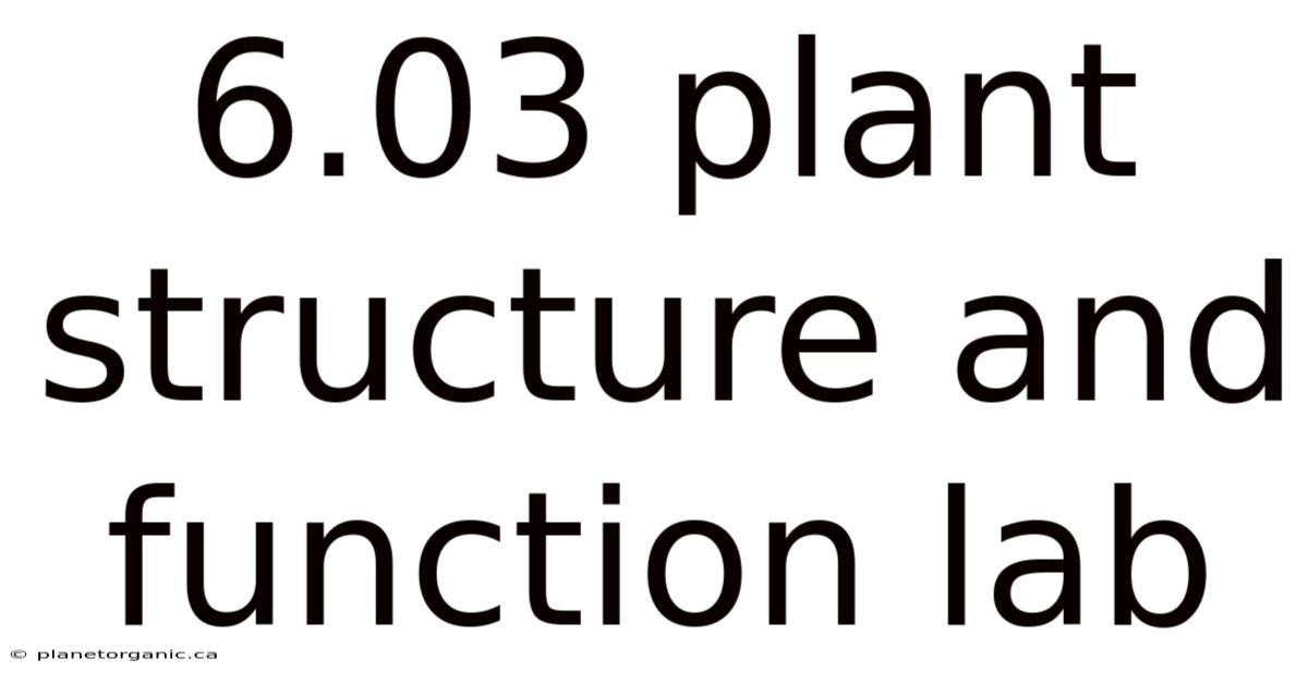 6.03 Plant Structure And Function Lab