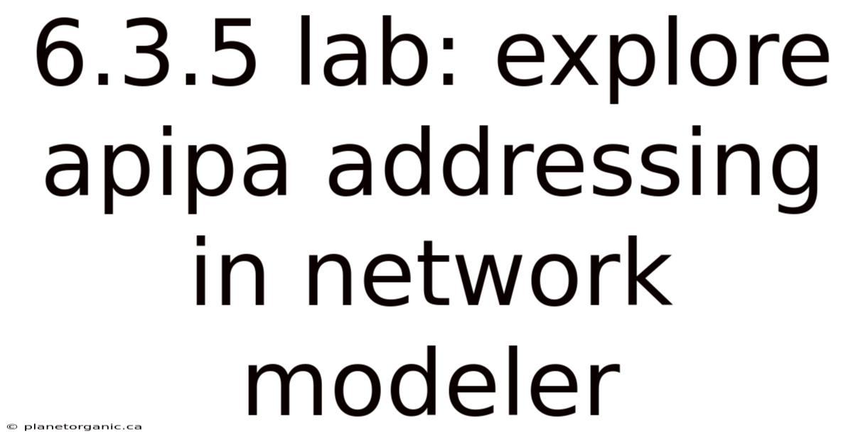 6.3.5 Lab: Explore Apipa Addressing In Network Modeler