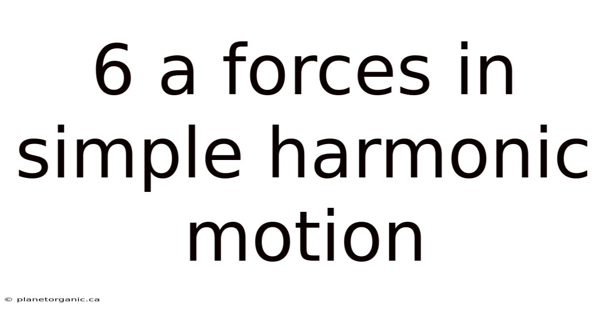 6 A Forces In Simple Harmonic Motion