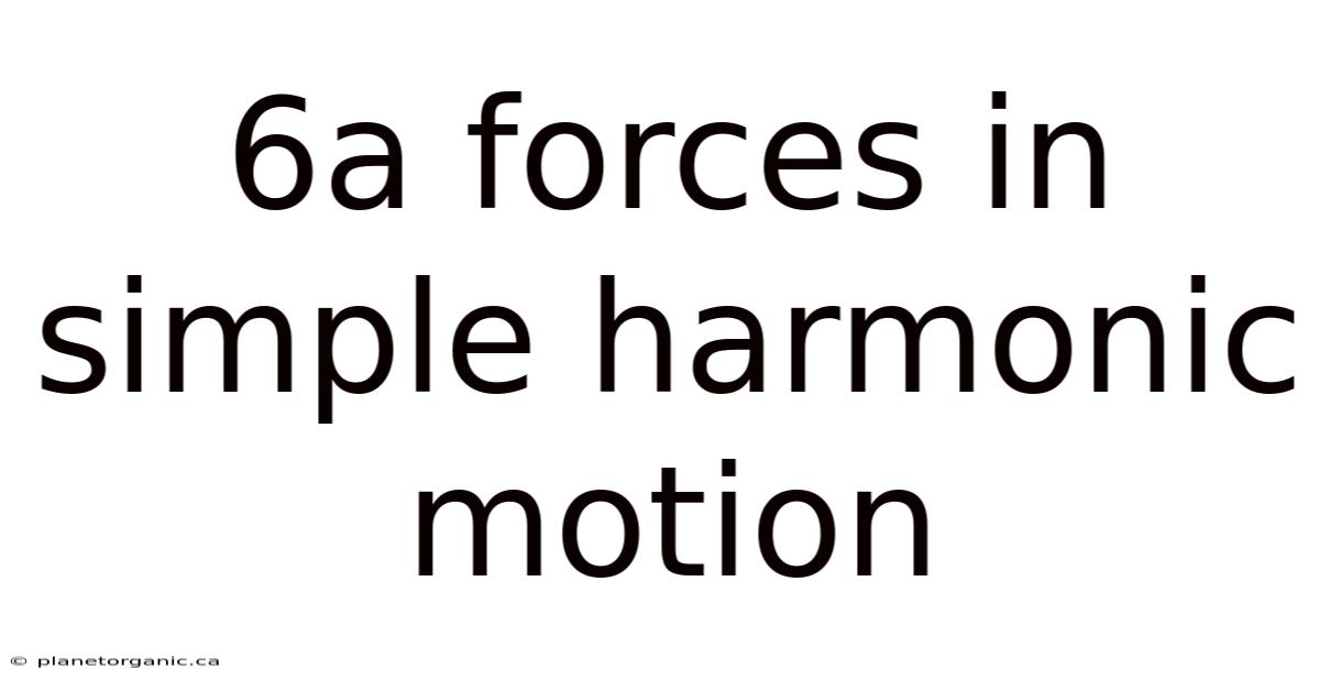 6a Forces In Simple Harmonic Motion