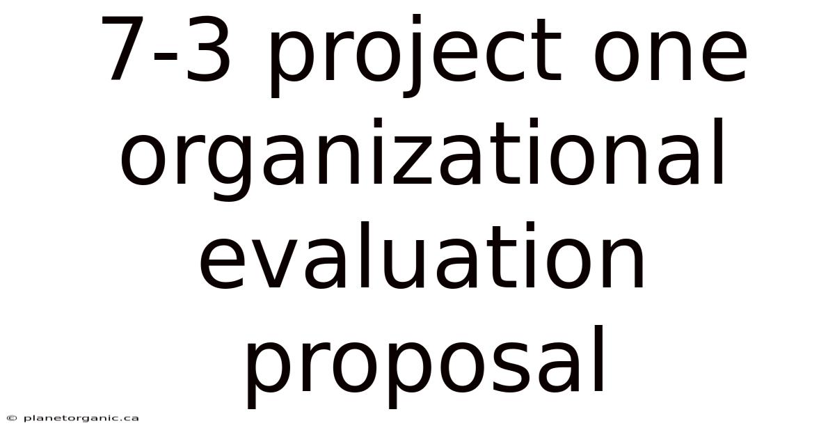 7-3 Project One Organizational Evaluation Proposal