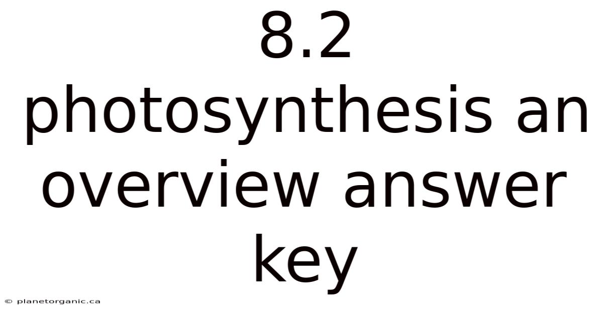 8.2 Photosynthesis An Overview Answer Key