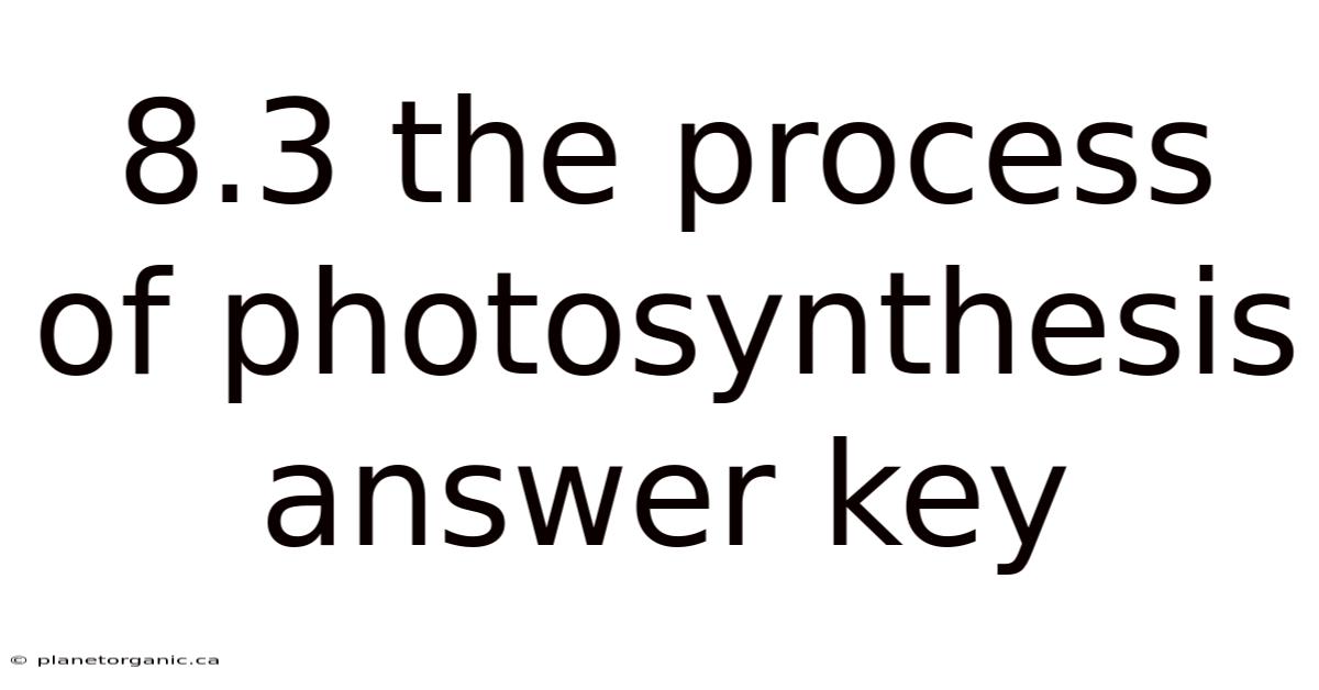 8.3 The Process Of Photosynthesis Answer Key