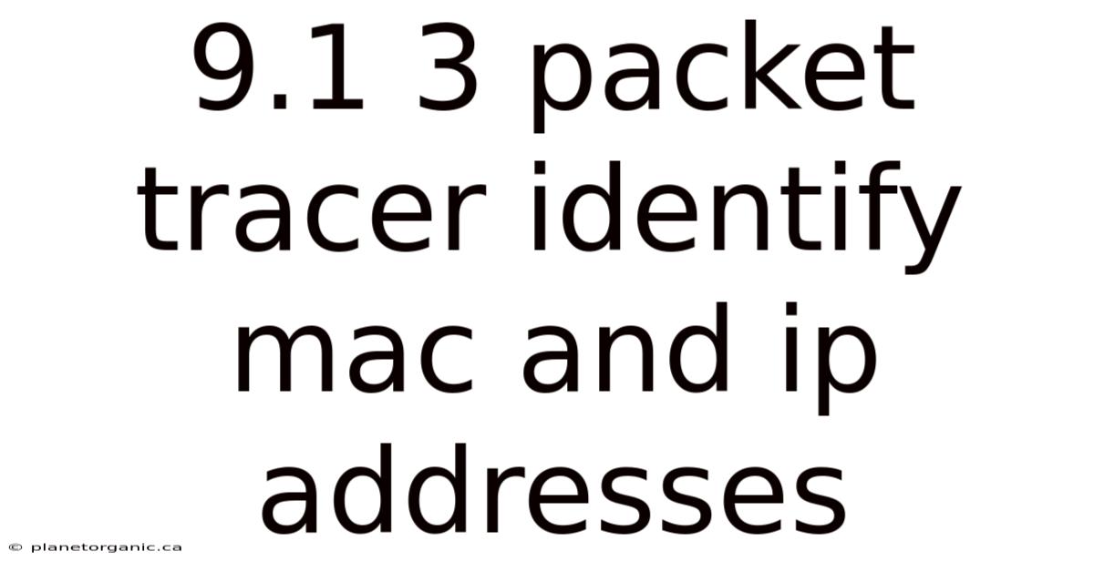 9.1 3 Packet Tracer Identify Mac And Ip Addresses