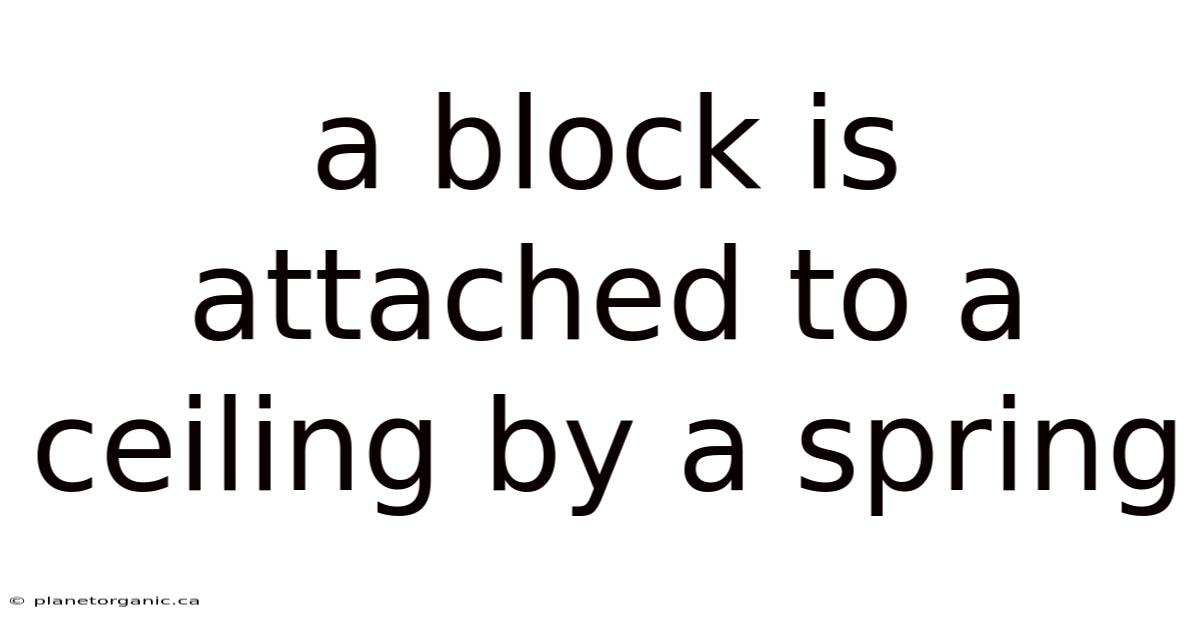 A Block Is Attached To A Ceiling By A Spring