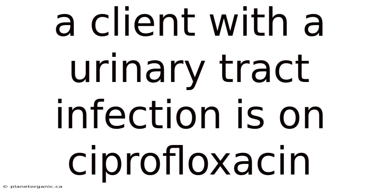 A Client With A Urinary Tract Infection Is On Ciprofloxacin