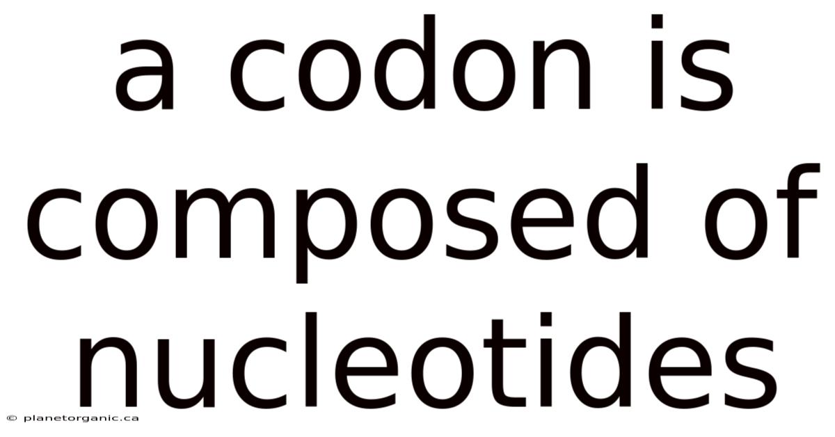 A Codon Is Composed Of Nucleotides