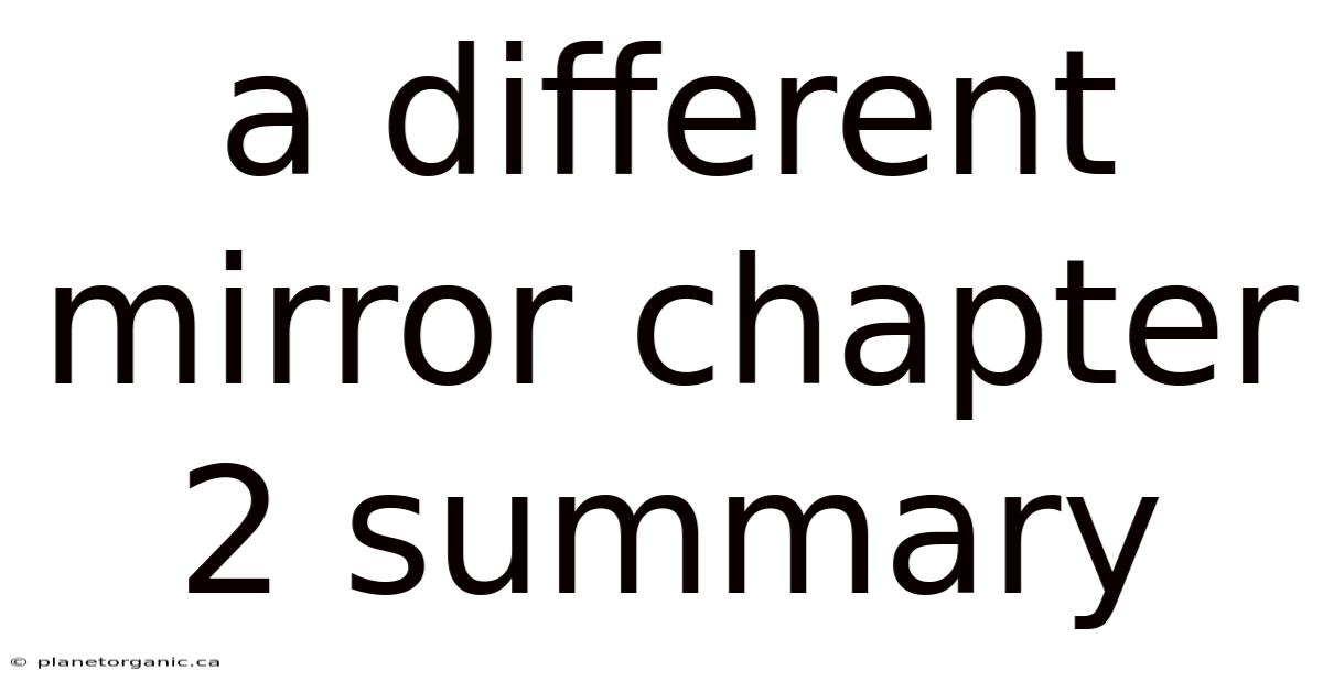 A Different Mirror Chapter 2 Summary