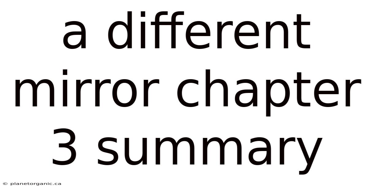 A Different Mirror Chapter 3 Summary