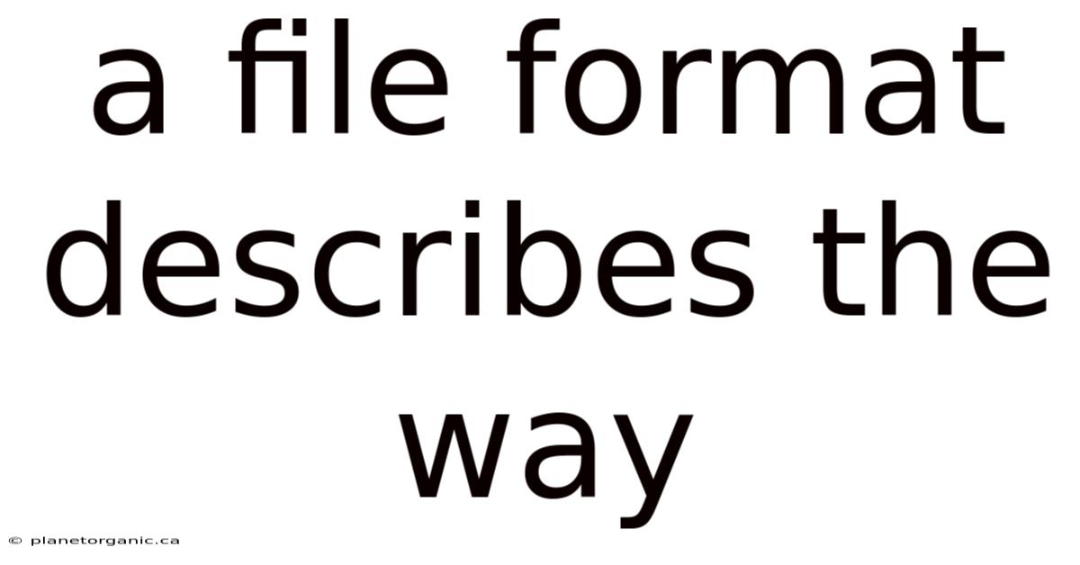 A File Format Describes The Way