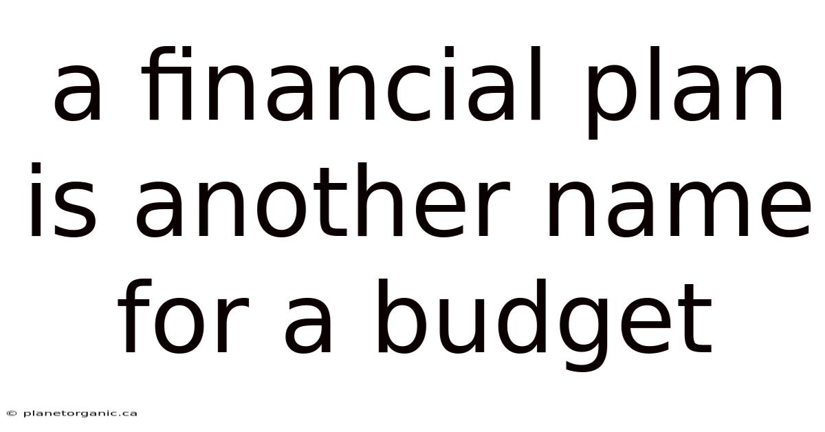 A Financial Plan Is Another Name For A Budget