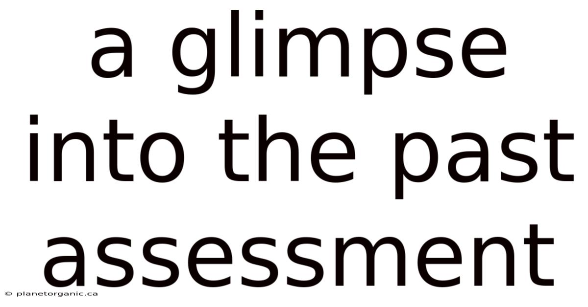 A Glimpse Into The Past Assessment