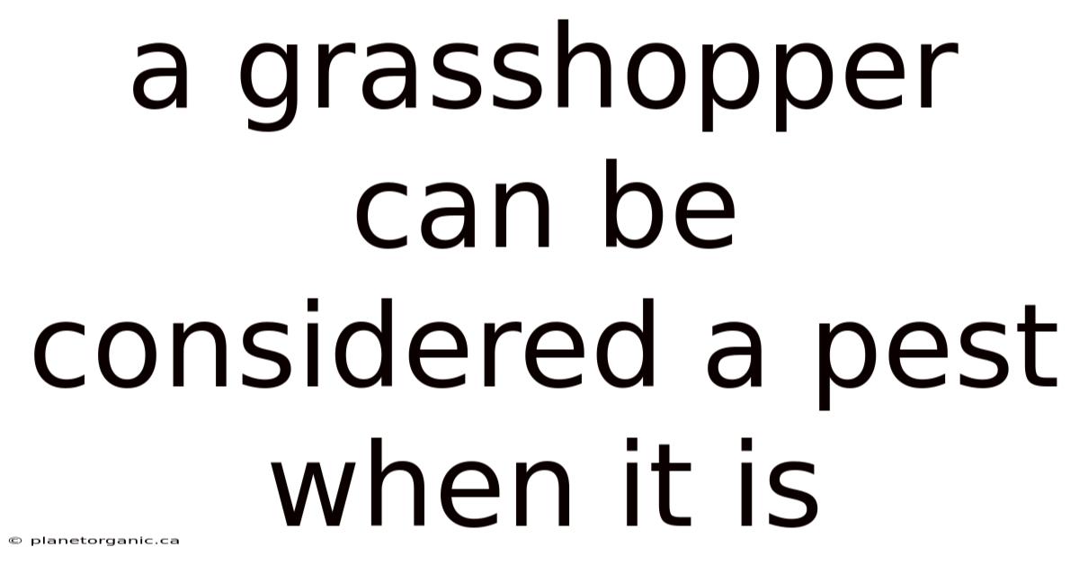 A Grasshopper Can Be Considered A Pest When It Is