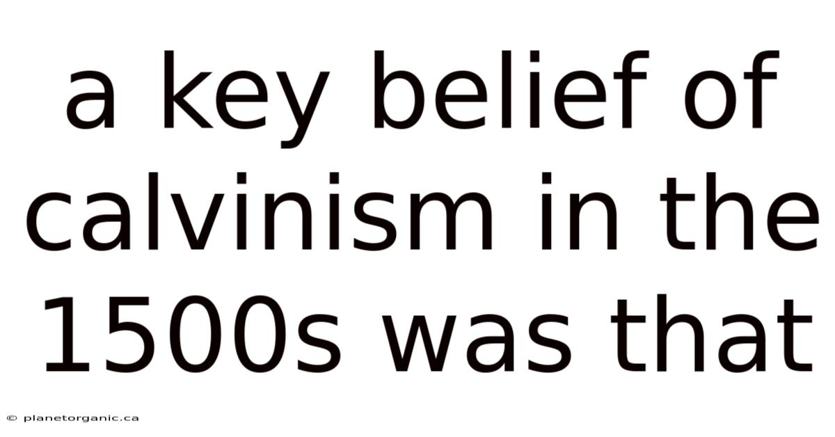 A Key Belief Of Calvinism In The 1500s Was That