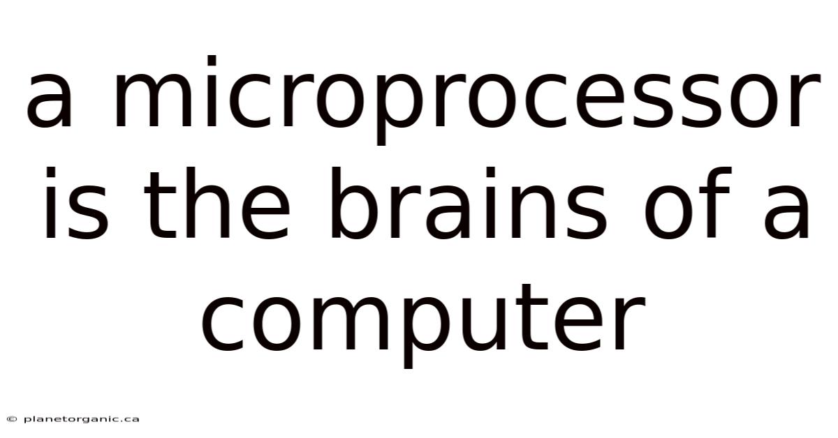 A Microprocessor Is The Brains Of A Computer