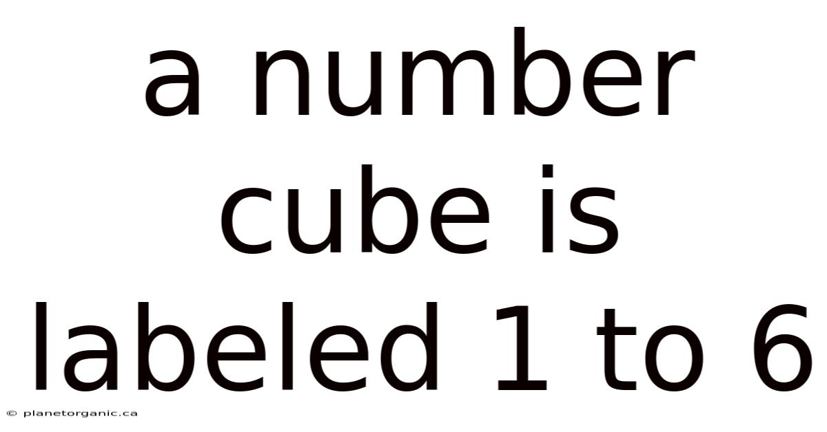 A Number Cube Is Labeled 1 To 6