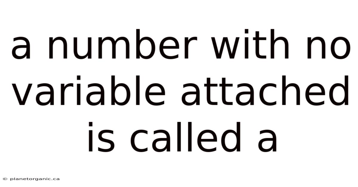 A Number With No Variable Attached Is Called A