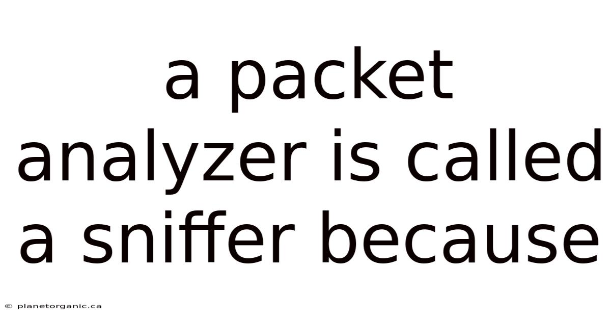 A Packet Analyzer Is Called A Sniffer Because
