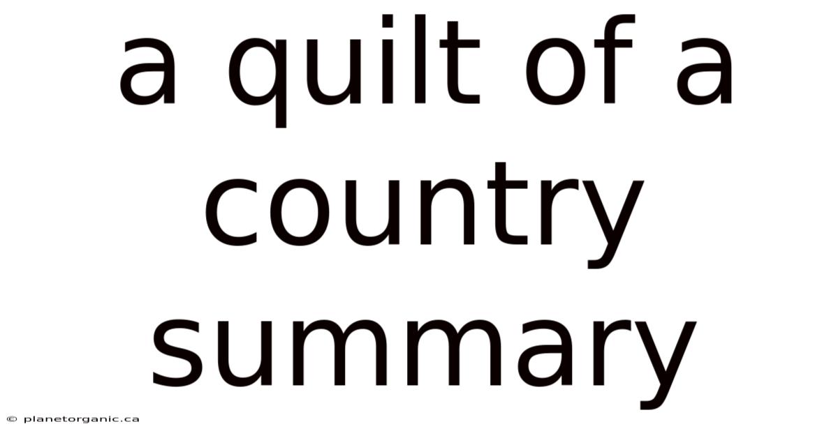 A Quilt Of A Country Summary