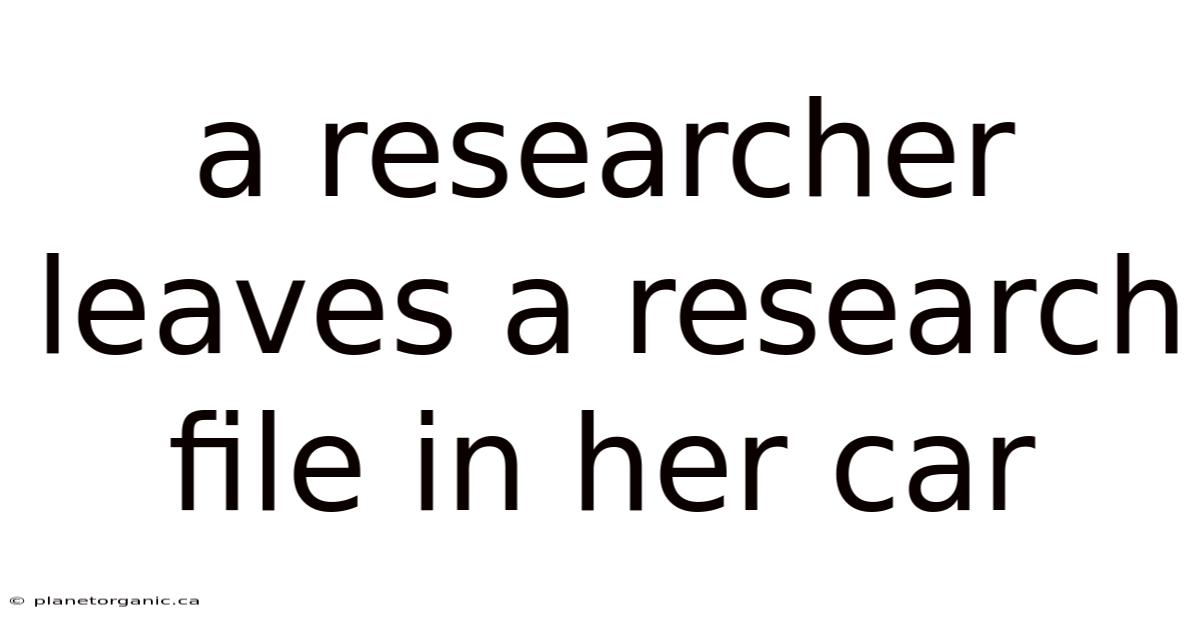 A Researcher Leaves A Research File In Her Car
