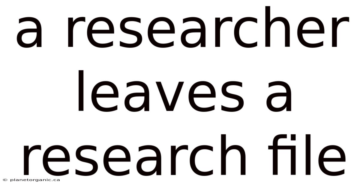 A Researcher Leaves A Research File