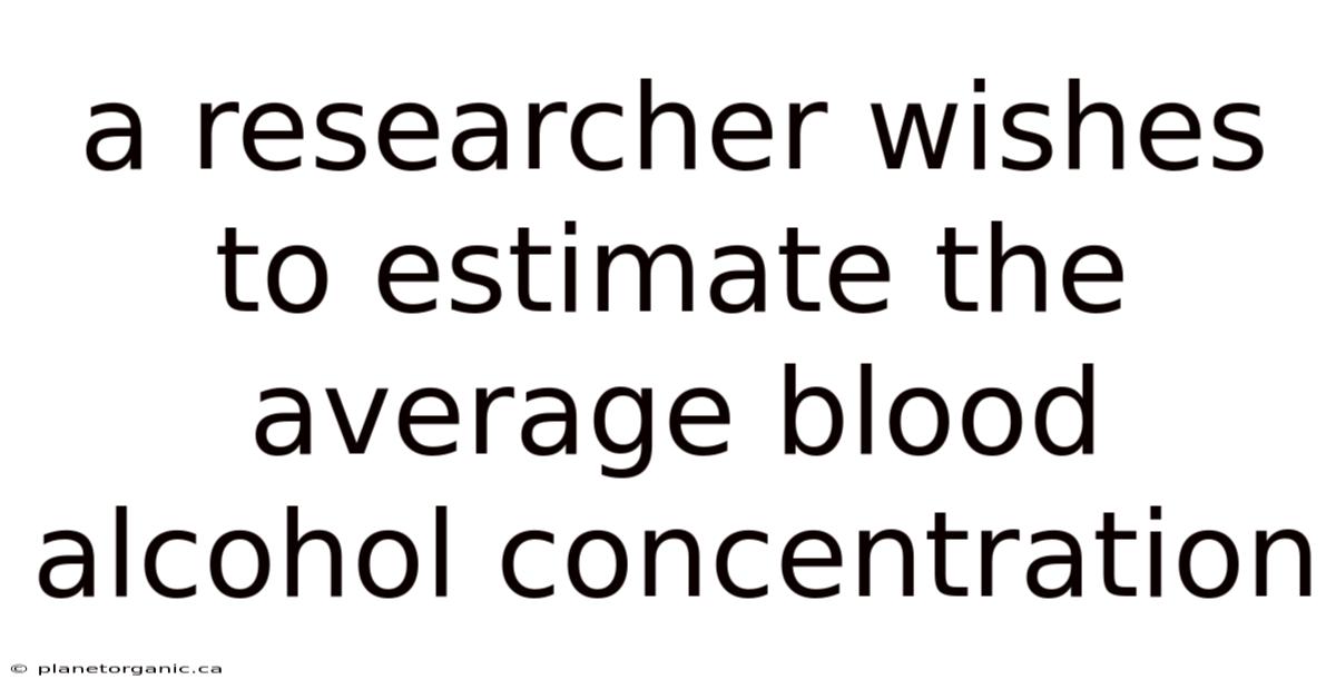 A Researcher Wishes To Estimate The Average Blood Alcohol Concentration