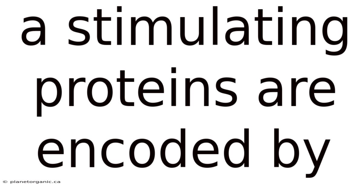 A Stimulating Proteins Are Encoded By
