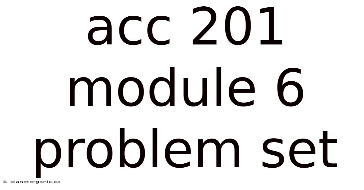 Acc 201 Module 6 Problem Set