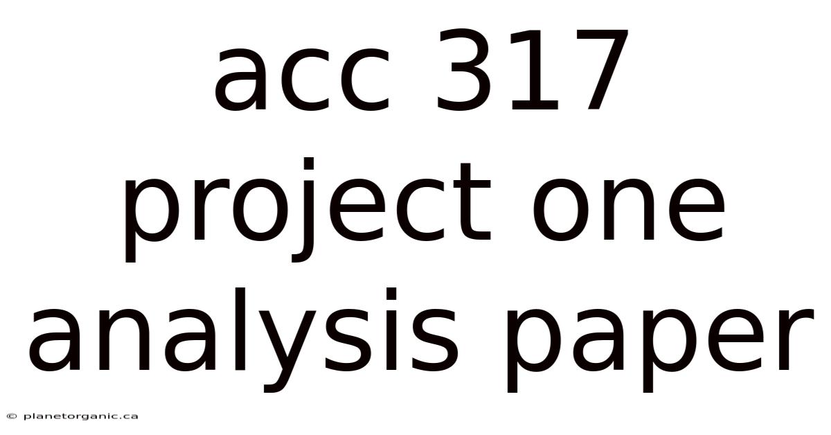 Acc 317 Project One Analysis Paper