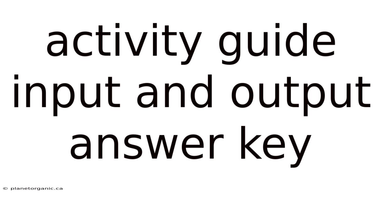 Activity Guide Input And Output Answer Key