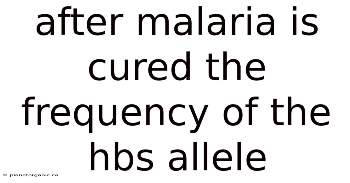 After Malaria Is Cured The Frequency Of The Hbs Allele